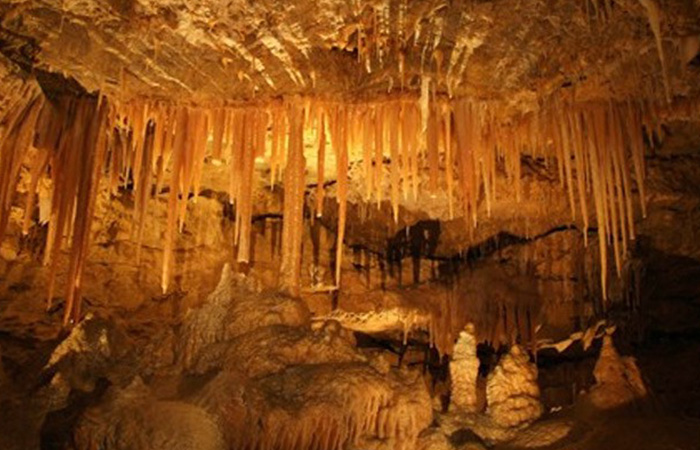 Alfred Caves