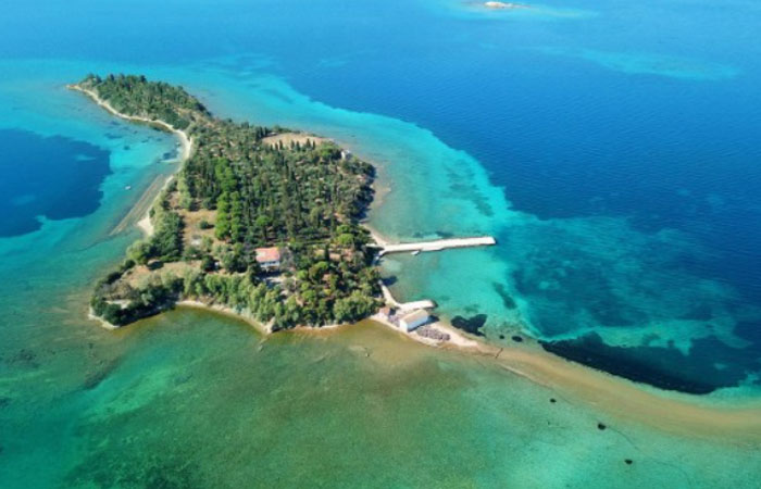 Guitar Island